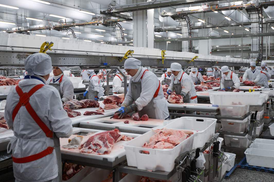 мясоперерабатывающая промышленность