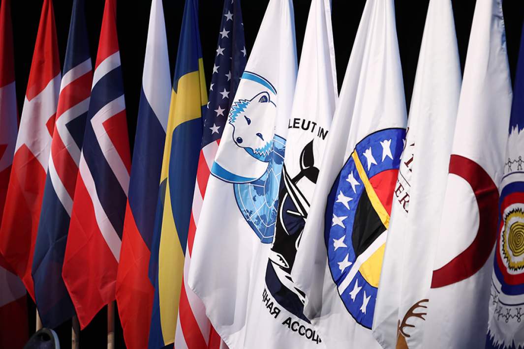 Флаги государств-участников Арктического совета