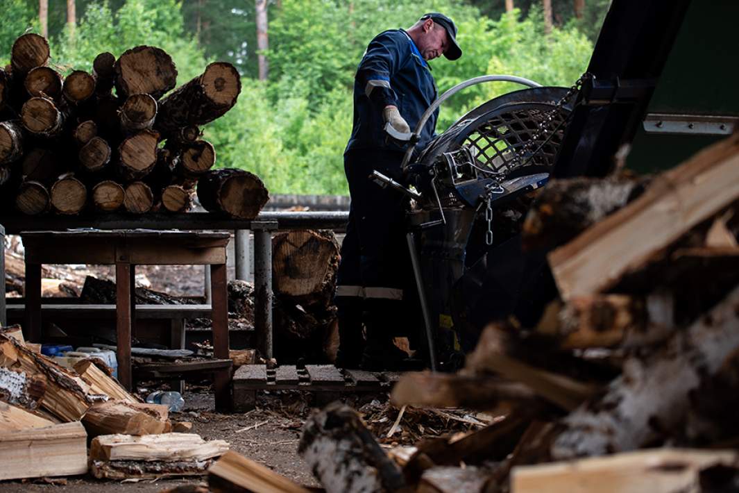 Цех лесопереработки древесины