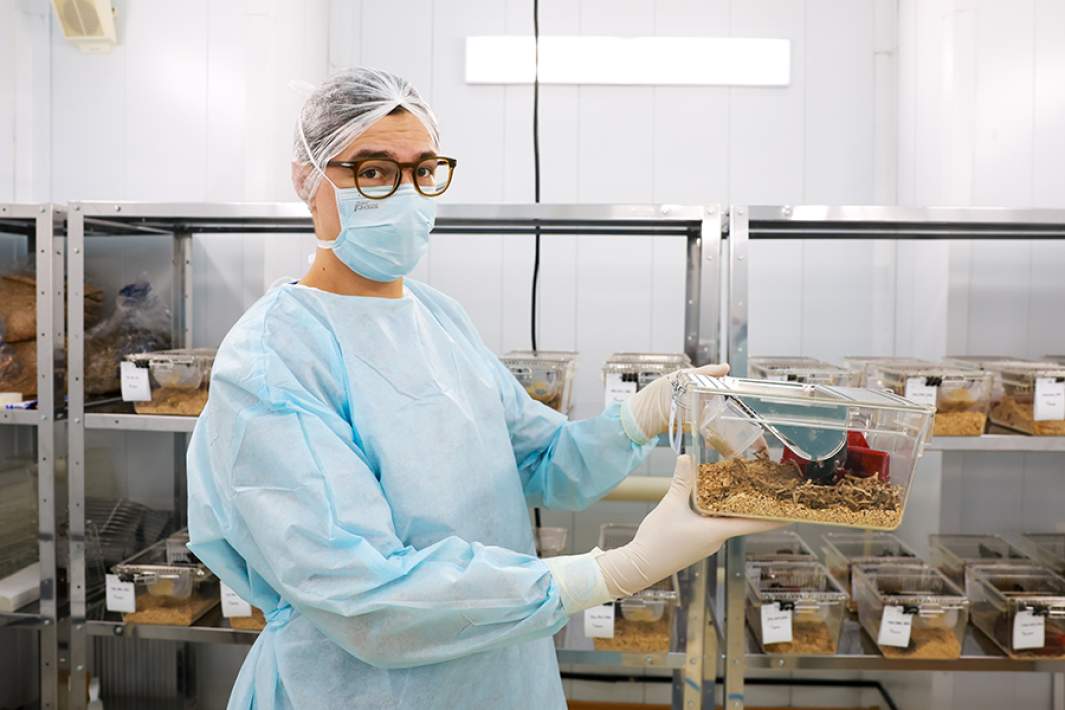 Ученый держит в руках лоток с лабораторными мышами