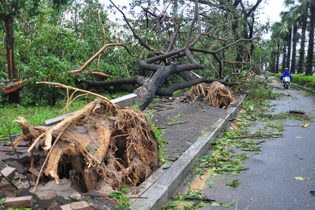 Последствия