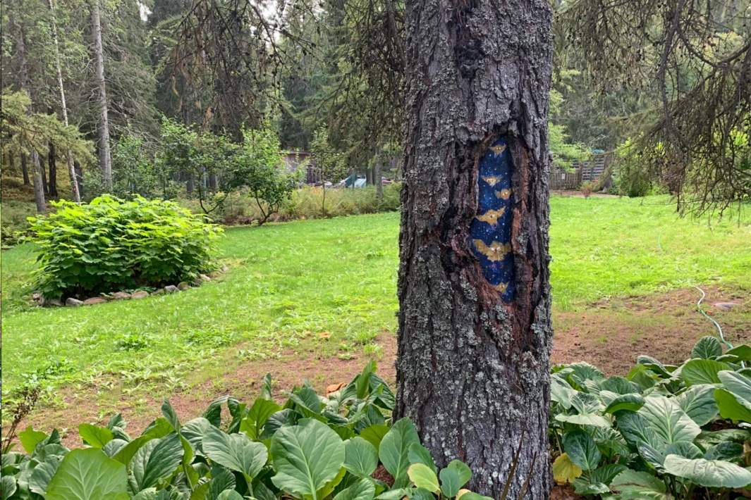 Ботанический сад