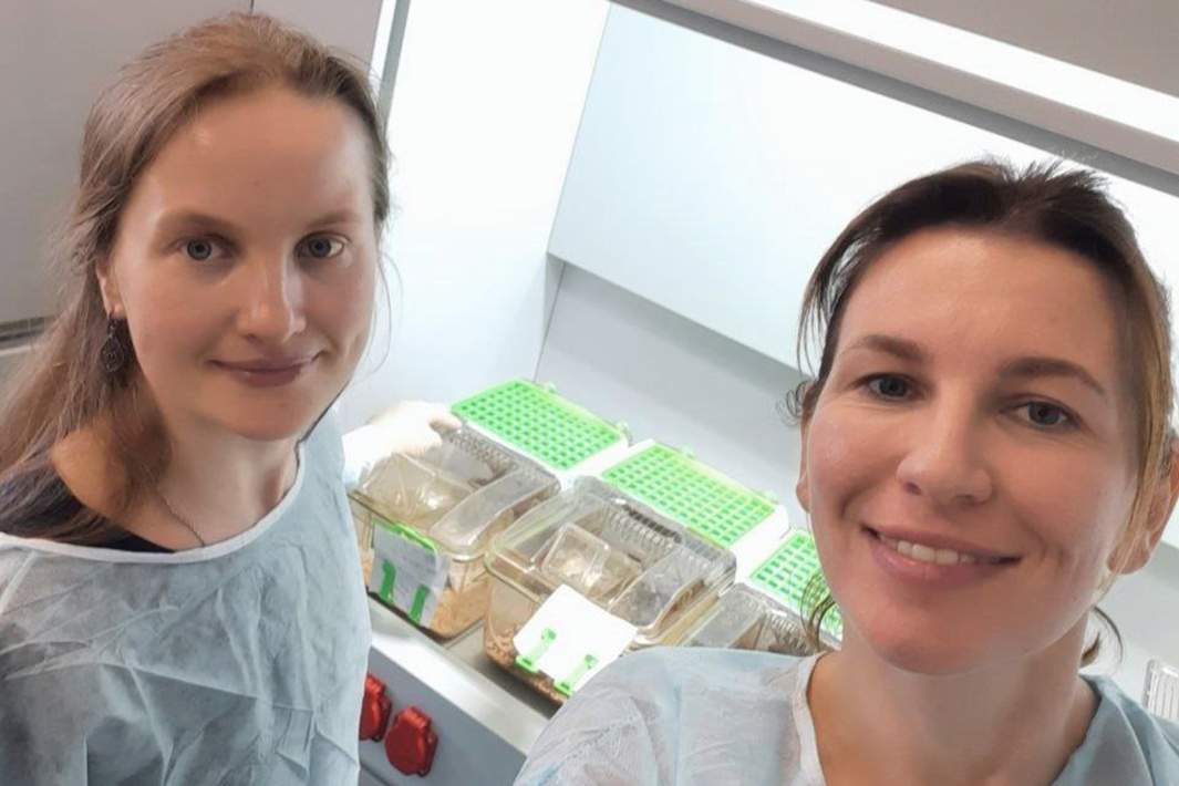  Сотрудник МГУ имени М.В. Ломоносова и ГНЦ ИБХ РАН Анна Яголович и сотрудник НИИ ЭО и БМТ ПИМУ Ирина Дружкова за совместной работой