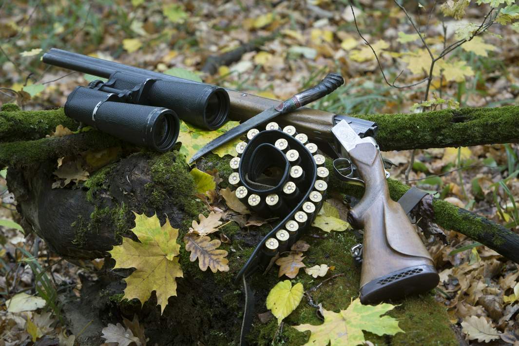 Охотничье ружье 