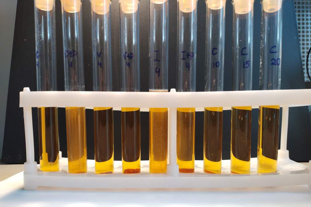 Тест на стерильность по мутности раствора