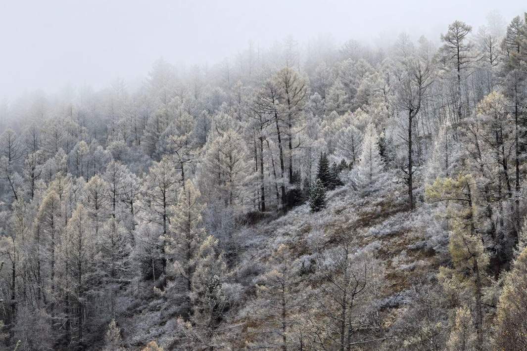 Забайкалье