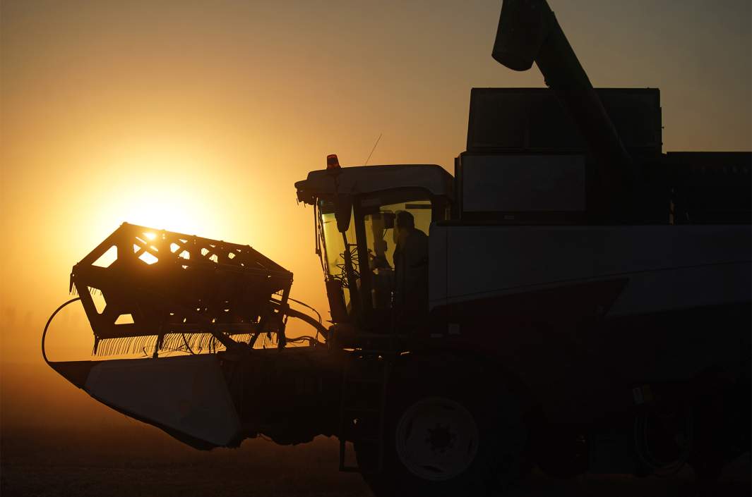 Сбор урожая