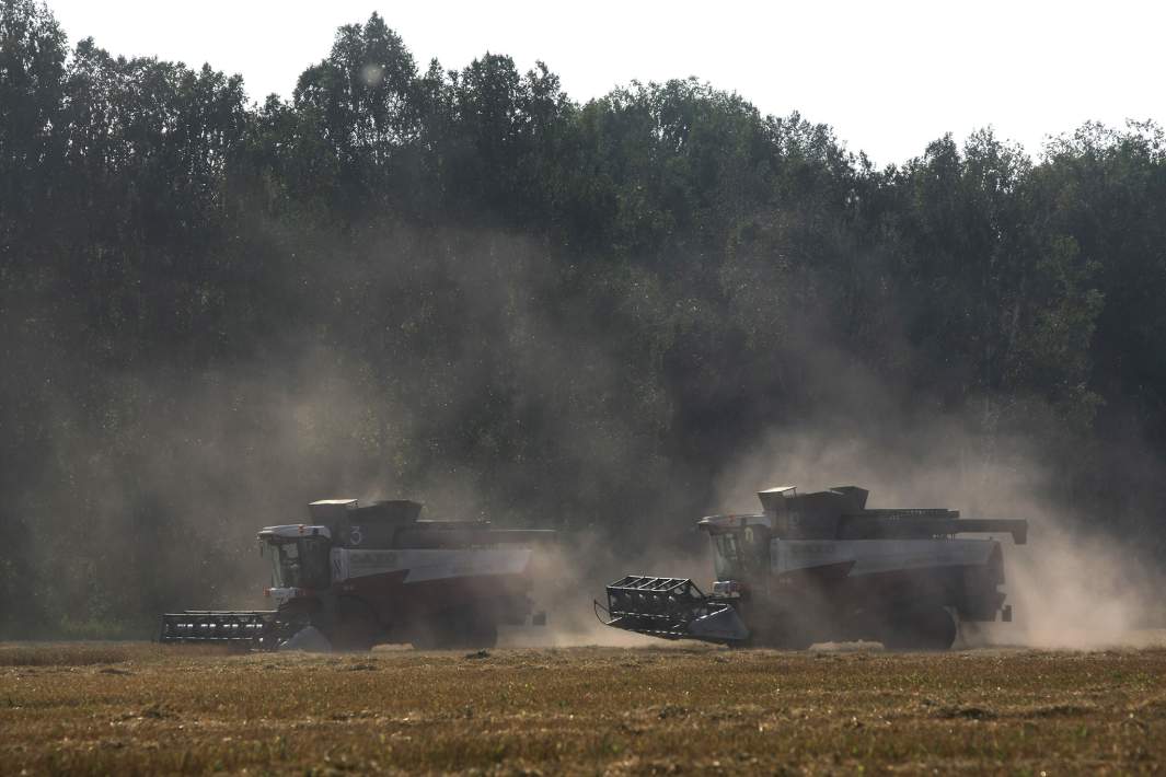 сбор урожая