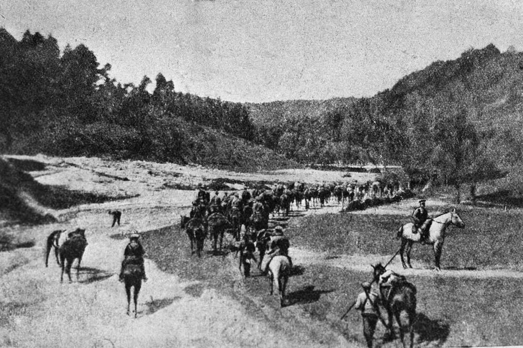 Русские войска преследуют неприятеля, июнь 1916 года. Брусиловский прорыв, май-июль 1916 года. Юго-Западный фронт. Первая мировая война (1914-1918)