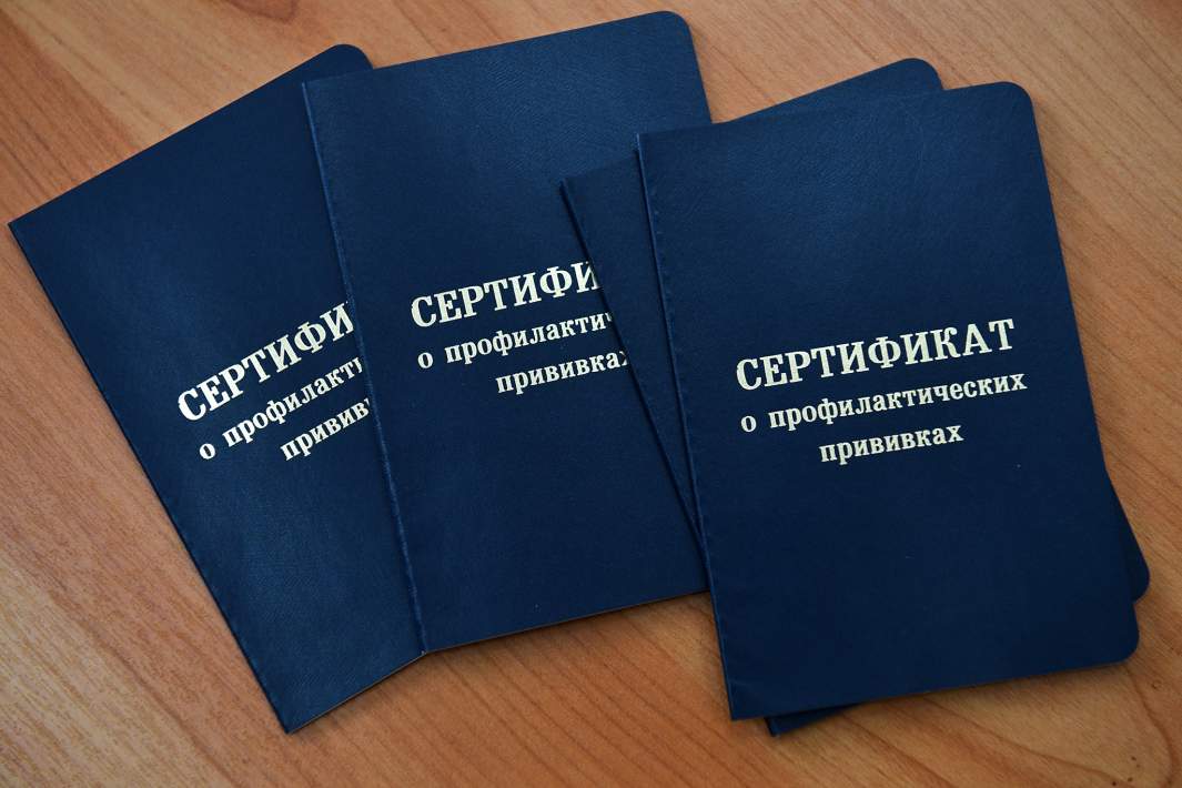 Профилактика