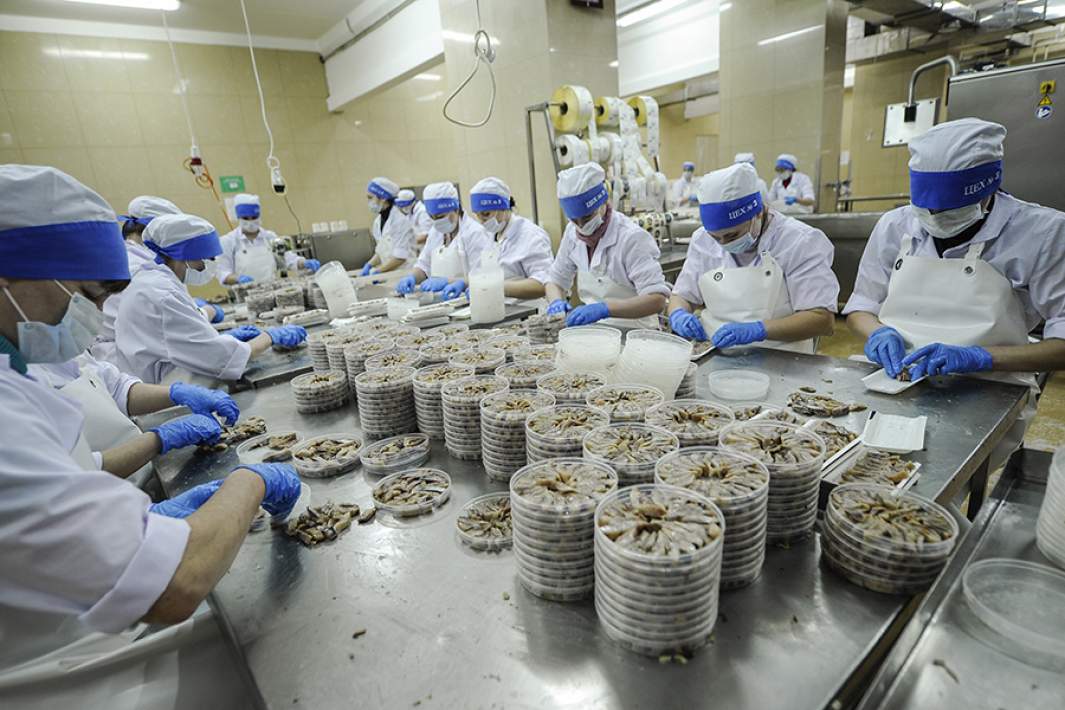 Упаковка сельди 