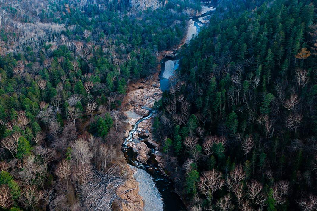 Вид на долину реки Милоградовки в национальном парке «Зов тигра»
