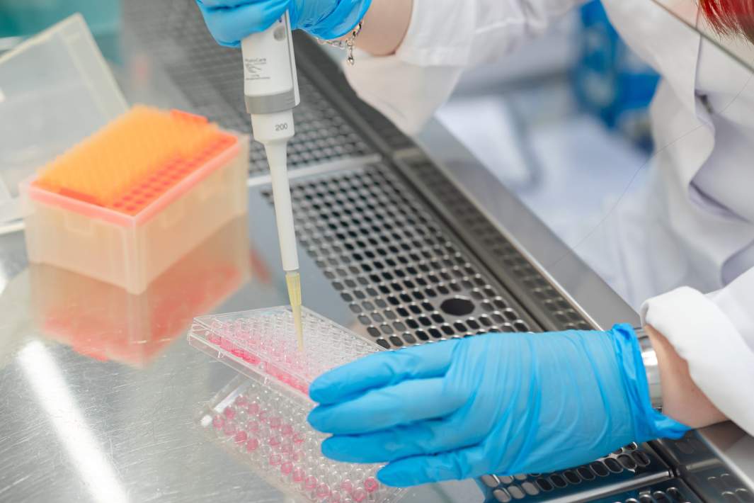 Лаборатория 