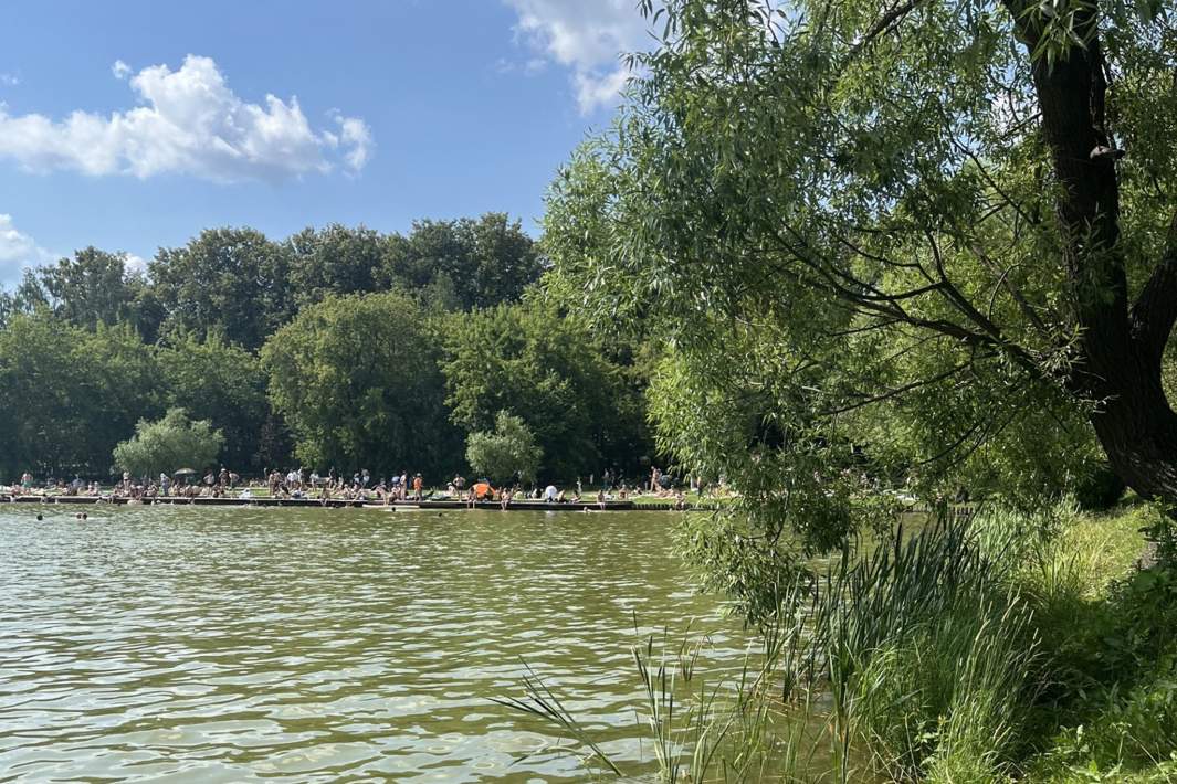 Мещерский пляж на Мещерском пруду во время отбора проб