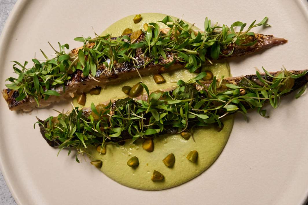 Скумбрия с фисташковым соусом и гелем из перца