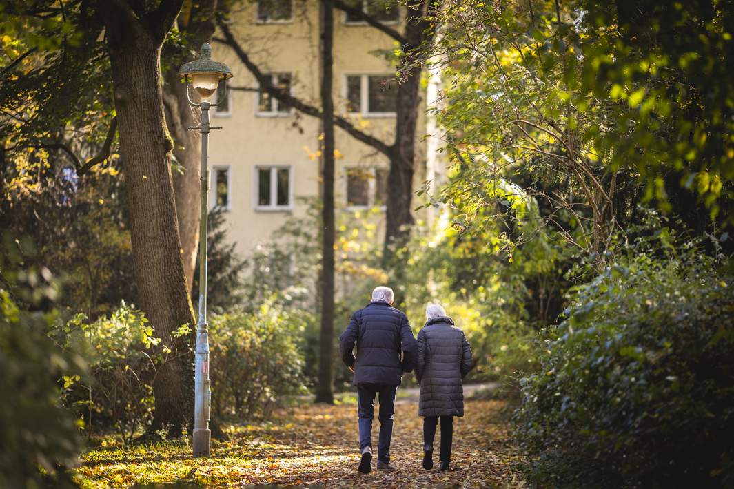 пара в лесу