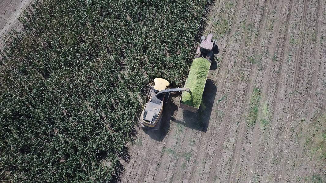 поле уборка