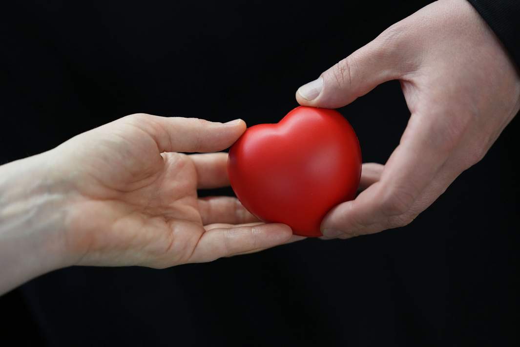 Сердце в руках