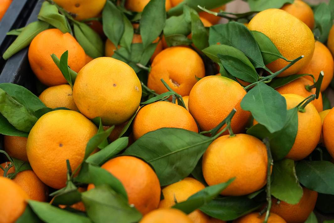 апельсины