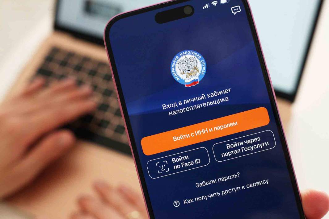 Приложение ФНС на телефоне 