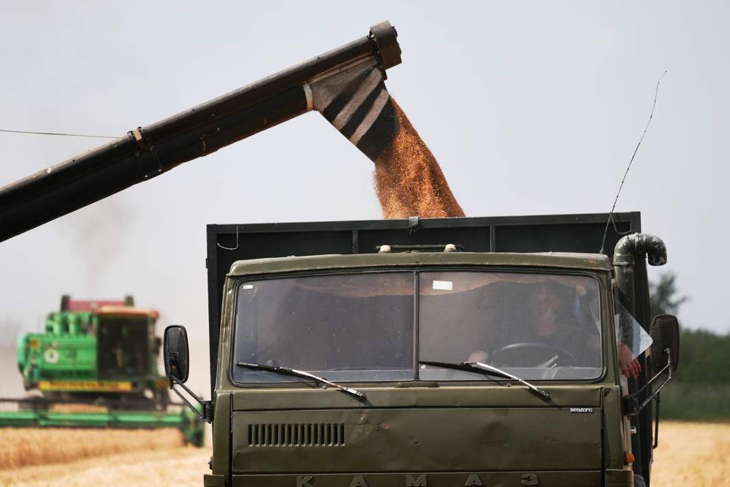 сбор урожая