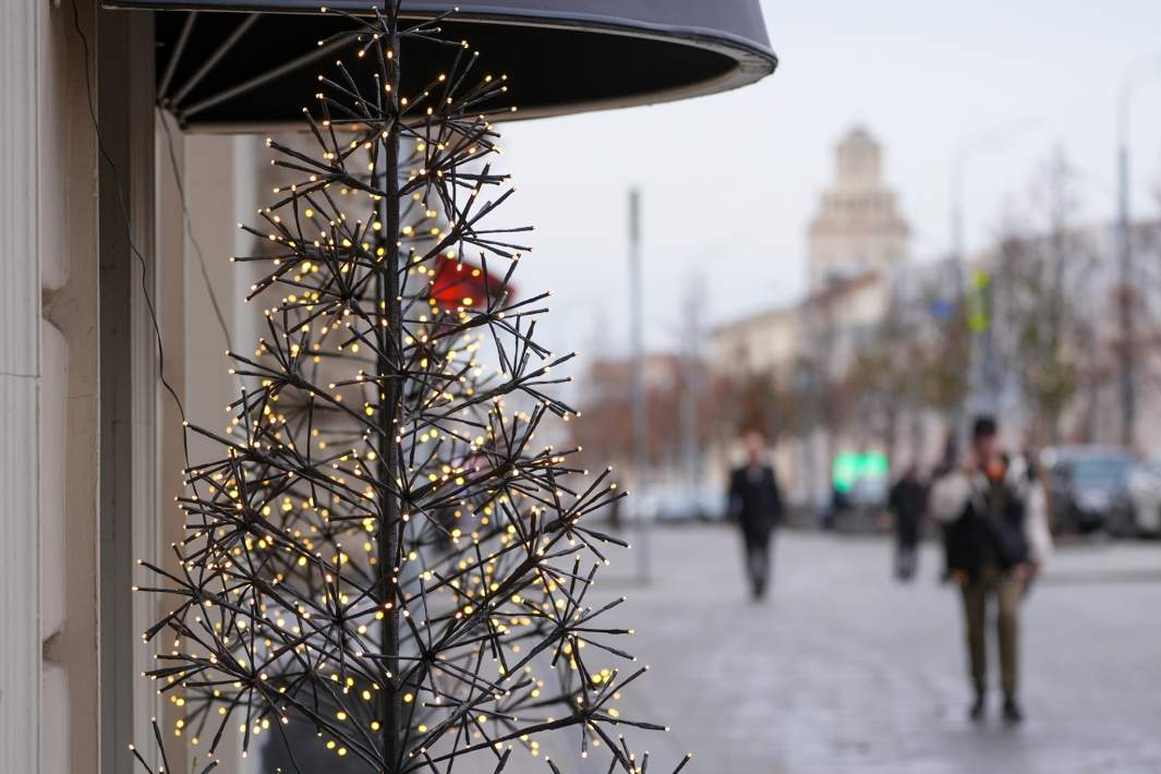 новогодняя елка нам улице