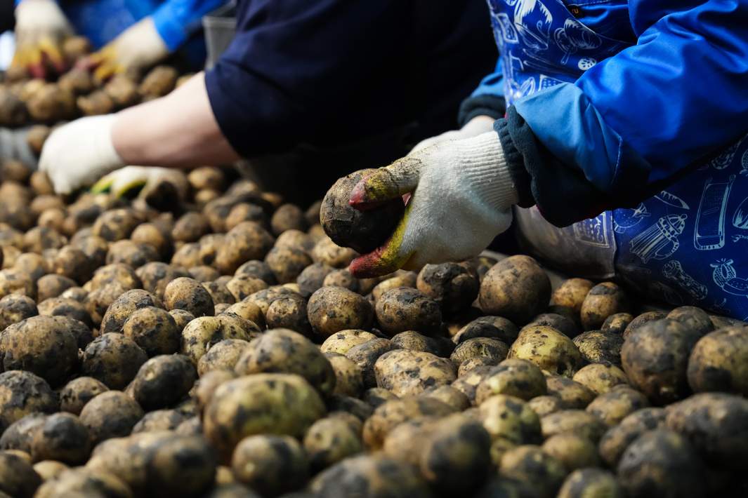 сельское хозяйство