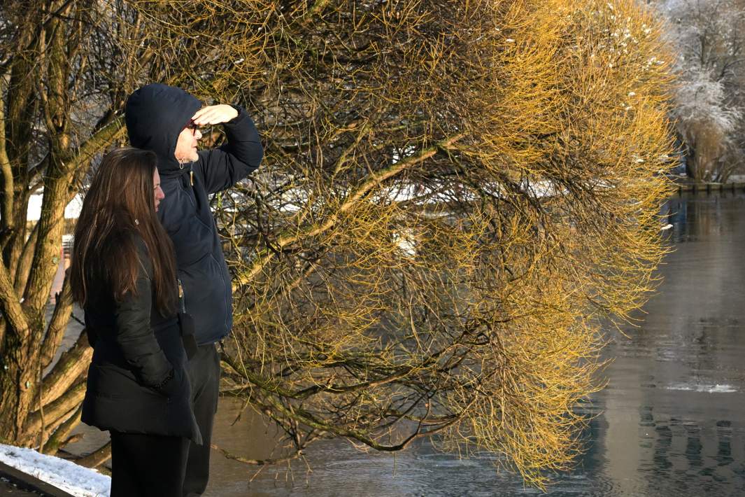 Прохожие в парке 