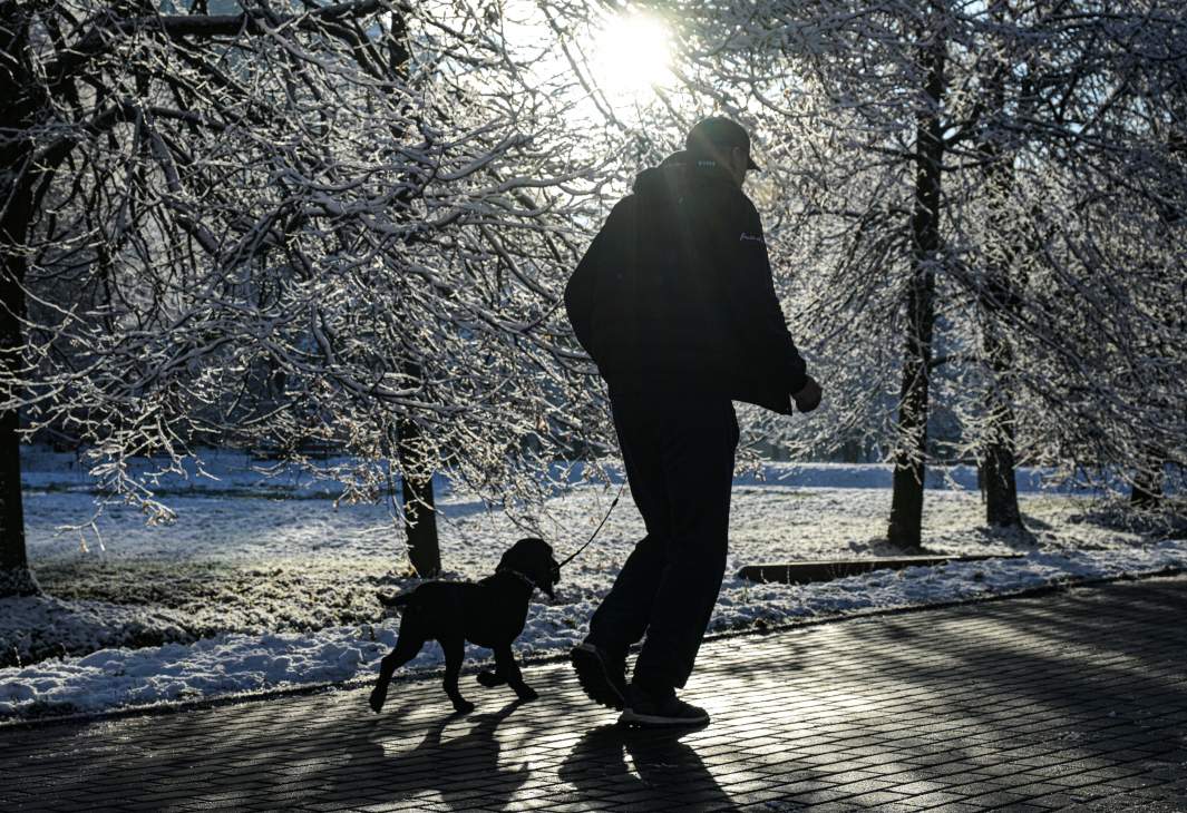 Мужчина гуляет с собакой 