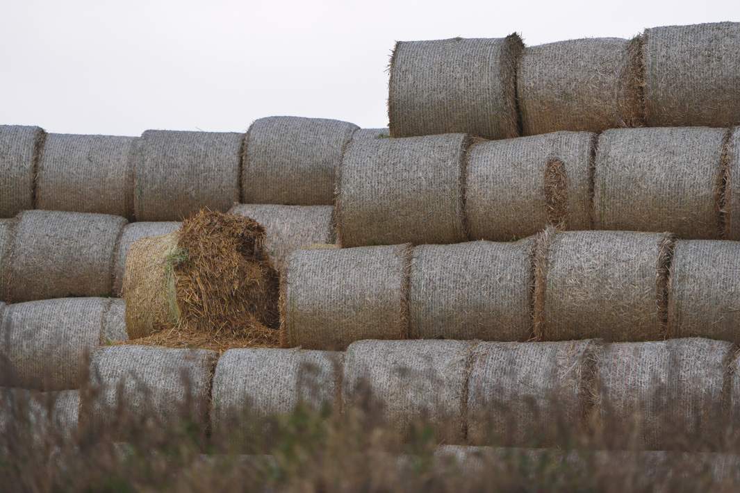 сельское хозяйство