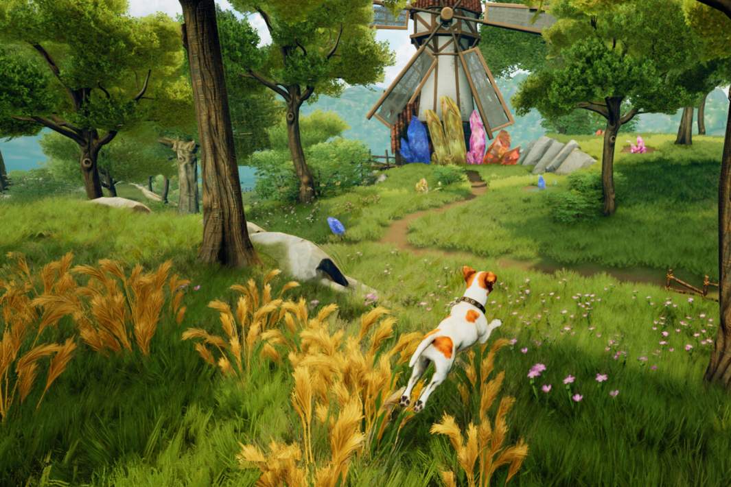 Скриншот игры Toto's Journey