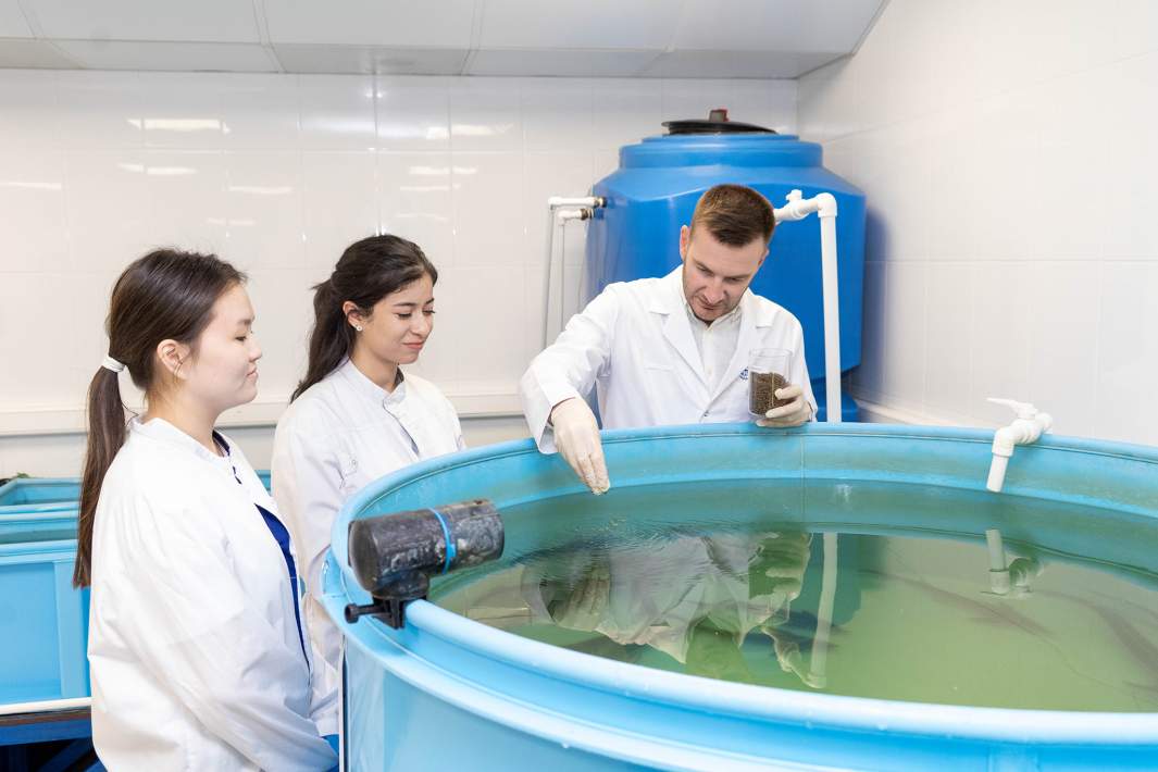 Исследование влияния разработанных добавок на рыбу