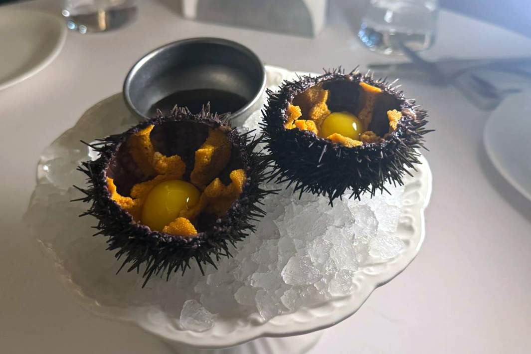 Запеченный морской еж с северной креветкой, муссом из пармезана и печеньем из костного мозга