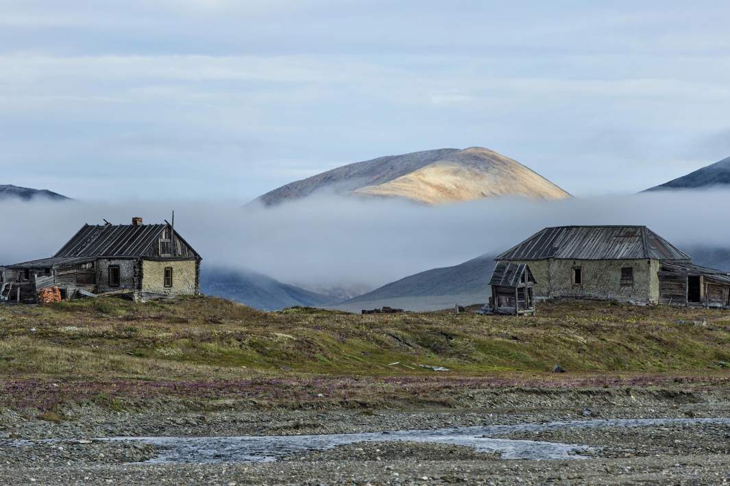 остров врангеля