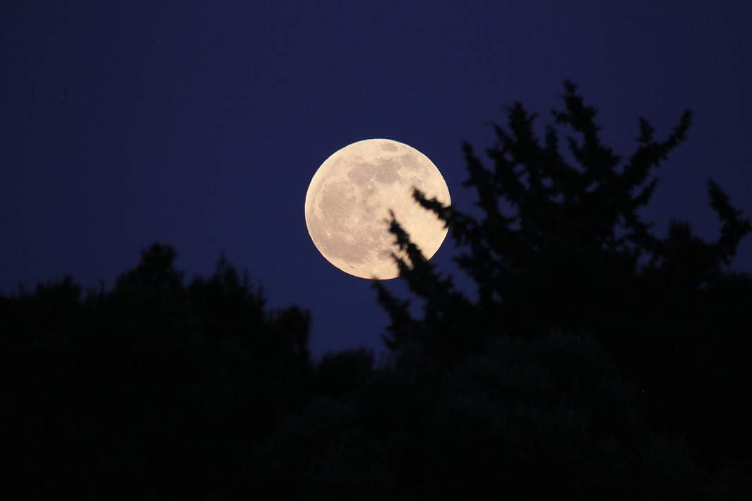 Полнолуние 