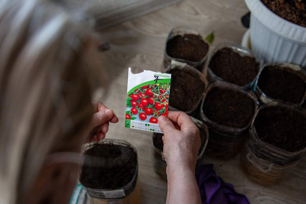 Женщина держит в руках пакетик с семенами 