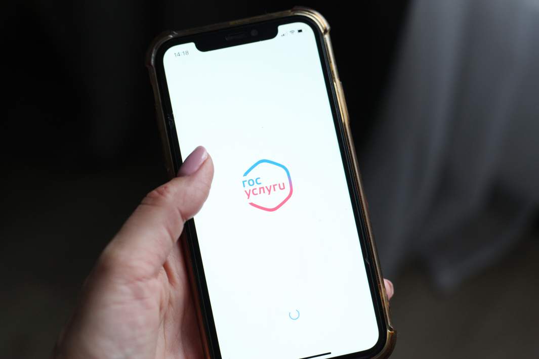 Приложение «Госуслуги» на экране мобильного телефона