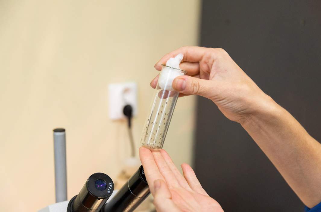 лаборатория