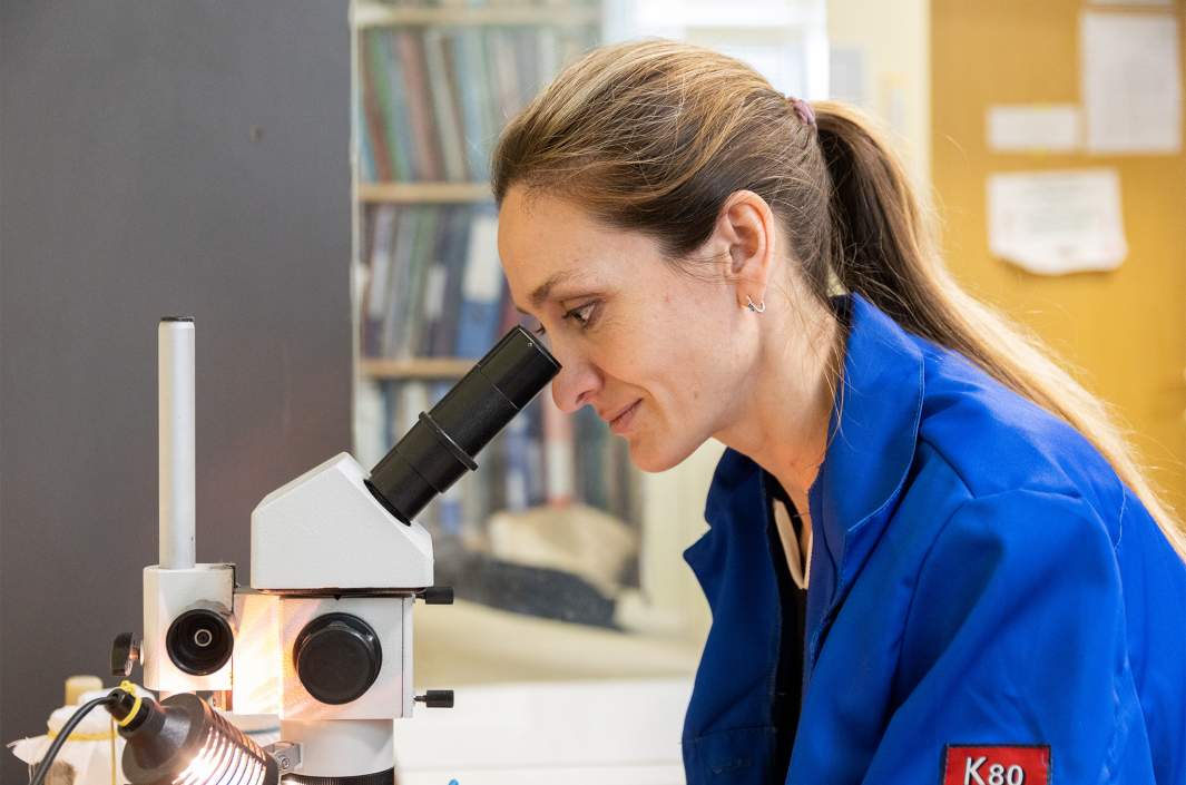 лаборатория