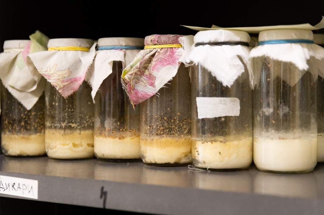 мухи в банке