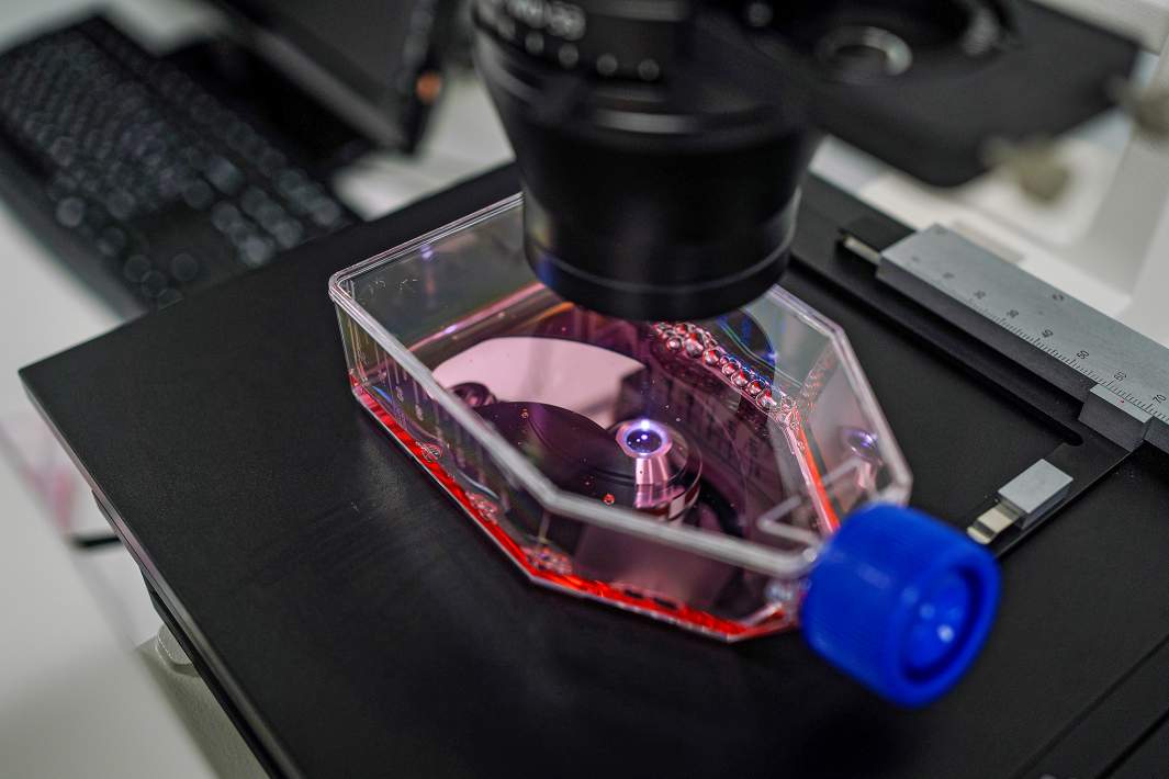 Исследование материала под микроскопом 