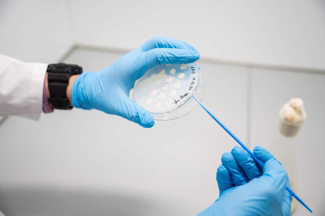 Исследование