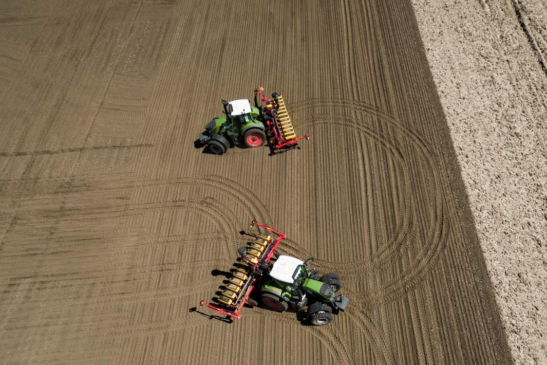 Сев семян сахарной свеклы