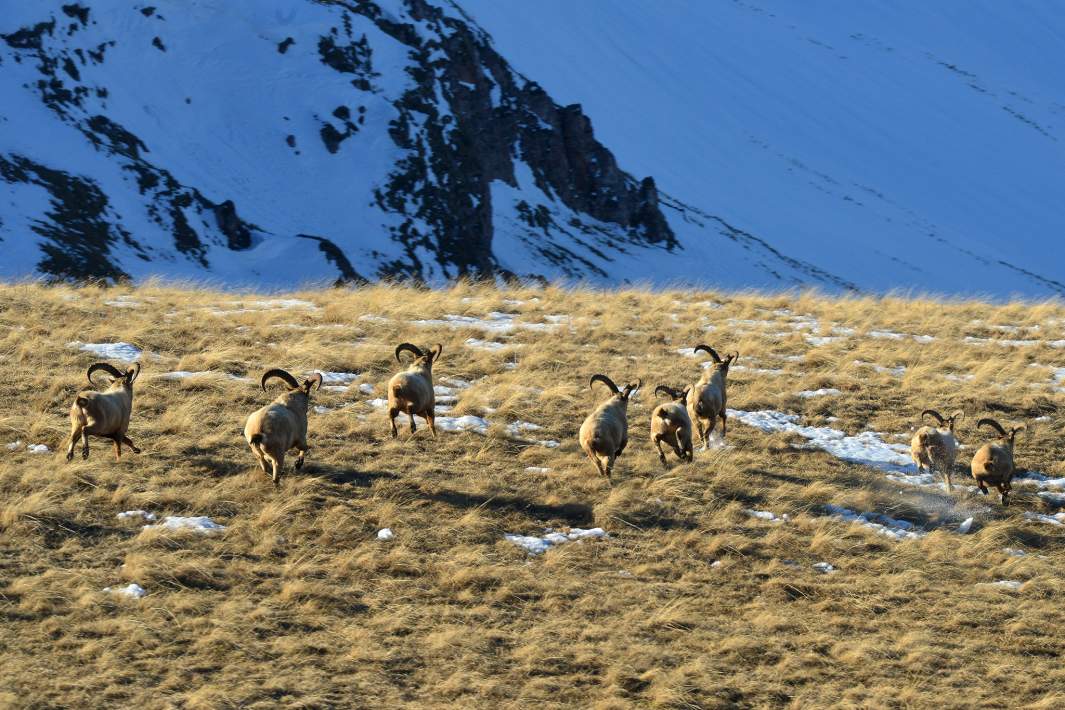 Западнокавказские туры