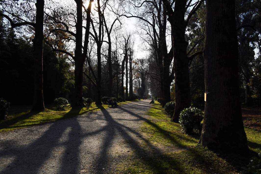 Дендрологический парк "Южные культуры" 