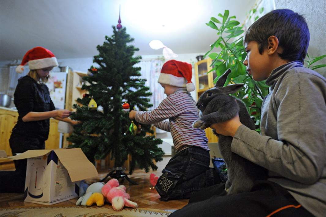 Дети сироты