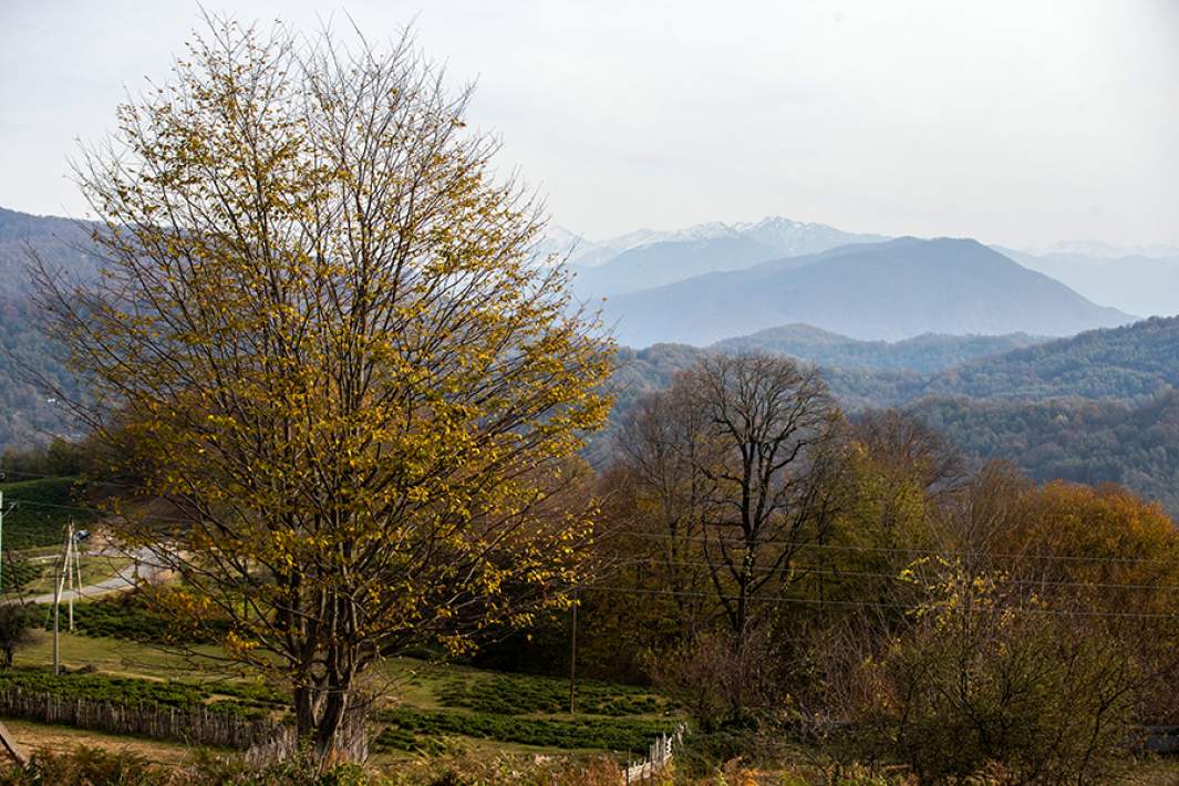 Сочинский национальный парк 