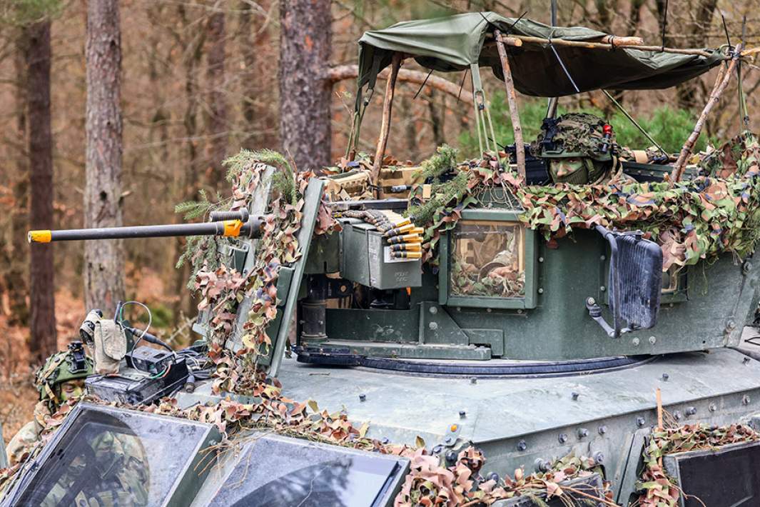 литовская армия