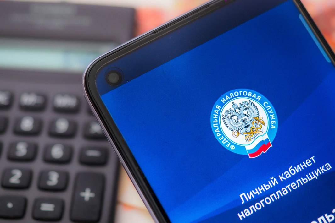 Приложение ФНС на телефоне 