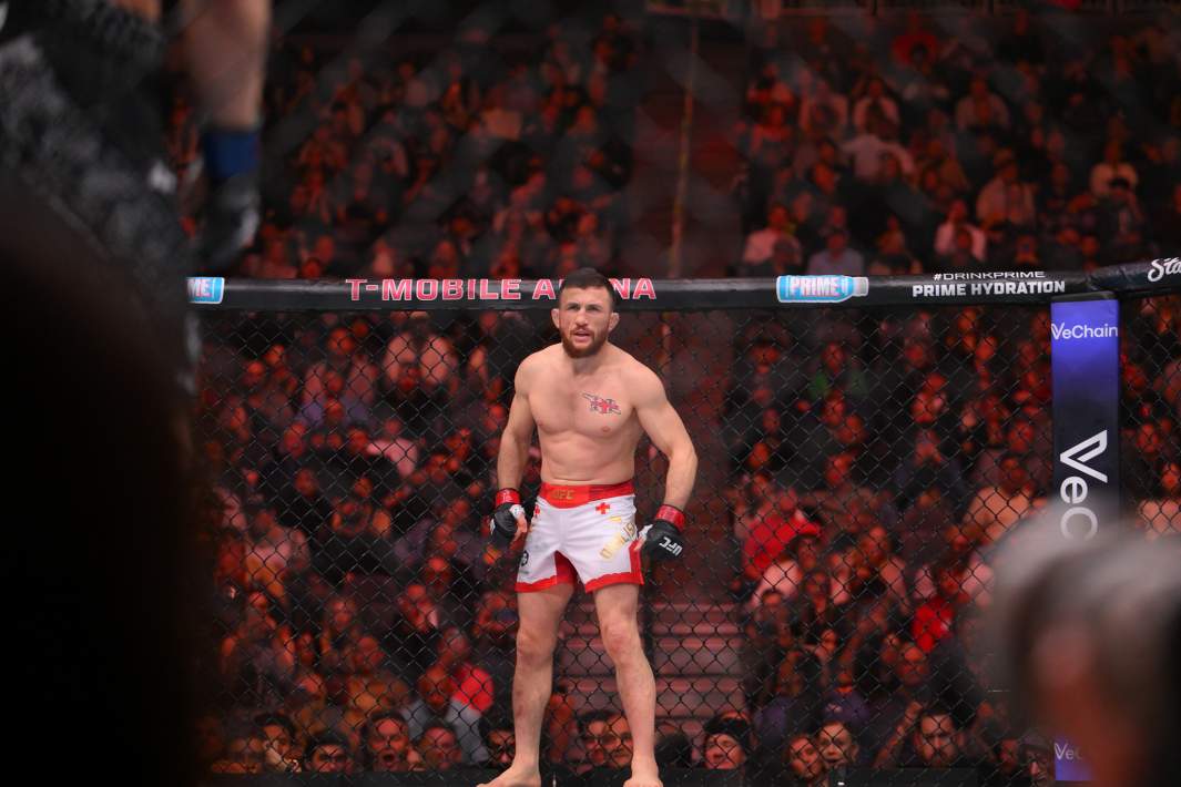 Грузинский боец Мераб Двалишвили